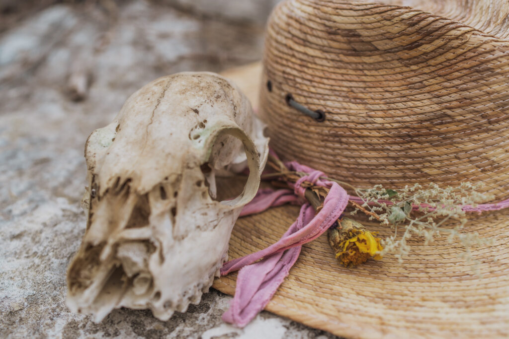 austin photographer, death and rebirth